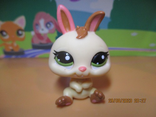 Petshop lapin nain 1596 - lapin, #1596