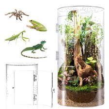 Terrarium Cylindrique