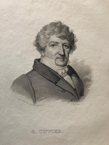Jean léopold nicolas - léopold,