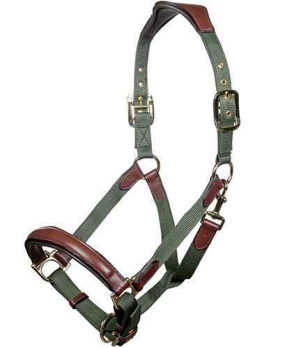 Licol cuir nylon modèle - licol,
