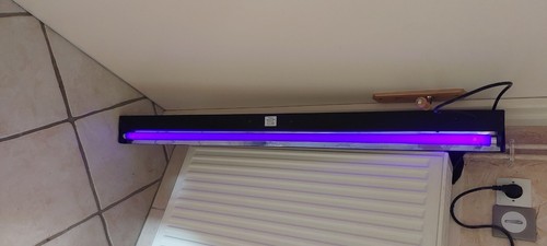 Néon ultraviolet sono ibiza - néon,