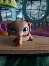 Hasbro littlest petshop - littlest, pet