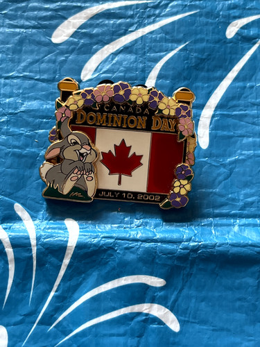 Disney pin trading - pin, dlp