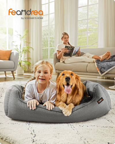Cesta chien feandrea - cesta, xl