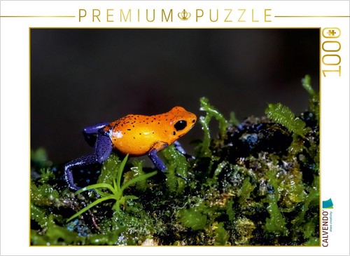 Calvendo puzzle erdbeerfrosch - puzzle,