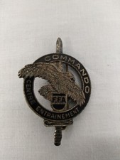 Insigne / pucelle brevet