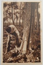 Carte Postale Ancienne Travailleur, Gemmeur