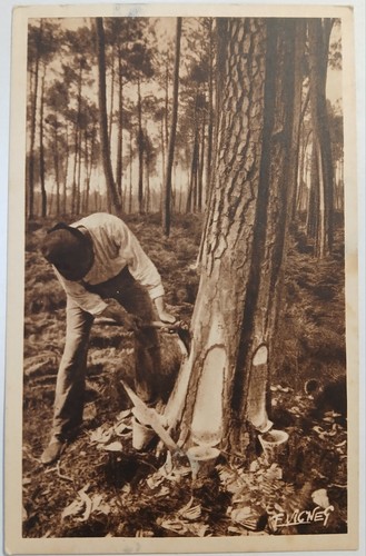 Carte postale ancienne - carte,