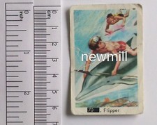 Flipper 1968 livre enfant