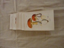 Rolland Les champignons de