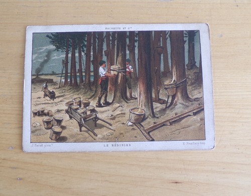 1910 resinier metiers - 1910,