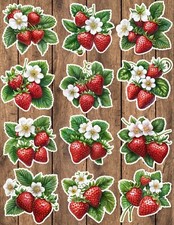 Retro Strawberry Die Cut Vinyl