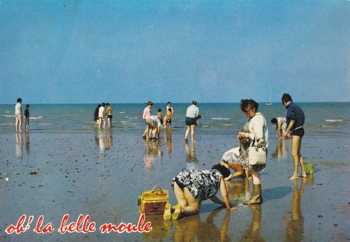 Carte postale postcard 10x15cm