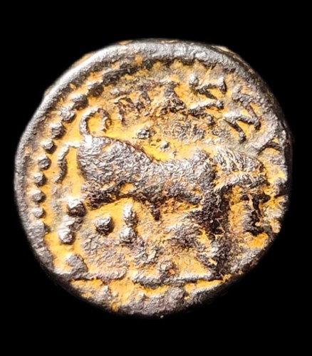 Marseille petit bronze - petit,