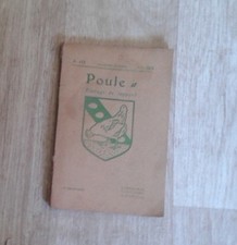 Poule. Elevage de rapport