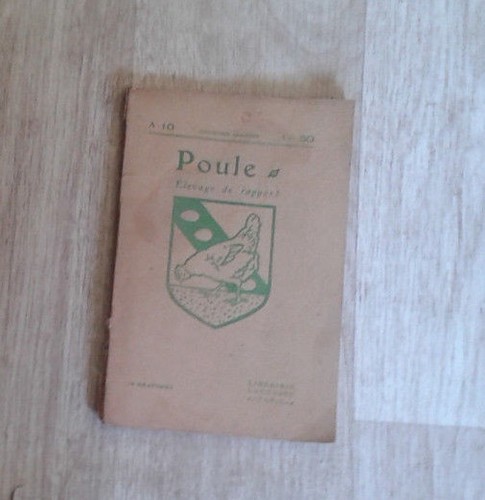 Poule elevage rapport - poule.,