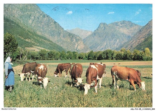 Aslp12 0804 vaches au - aslp12-0804-05,