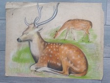 grand pastel art déco cerf biche étude