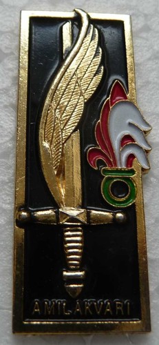 Pin militaire la - pin's,