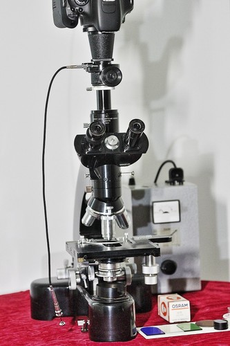 Classic leitz ortholux with - leitz,