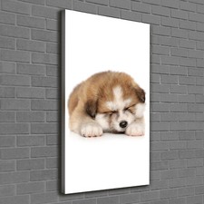 Tulup Tableau Sur Toile Image Imprimé 60x120 - Chiot Akita
