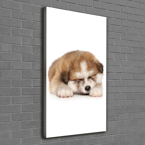 Tulup tableau sur - toile, image