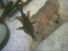 MICRO BRAS INTERRUPTEUR POUR