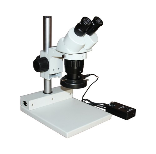 Microscope stéréo