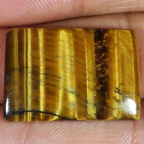 Cts 100 naturel tigre - 100%,