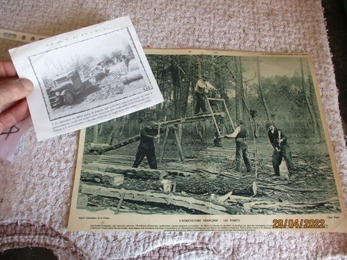Forêt bucheron scieur de - la,