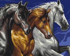Peinture par numéros avec