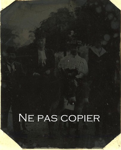 Ferrotype 1897 allemagne ânes - 1897,
