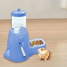 Bouteille d'eau de 80 ml pour