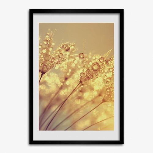 Photo 50x70cm décor mdf - 50x70cm,