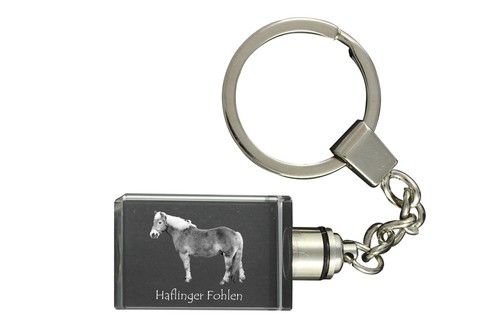 Haflinger fohlen horloge - haflinger,