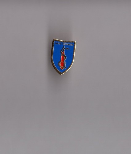 Pin élève infirmier - pin's,