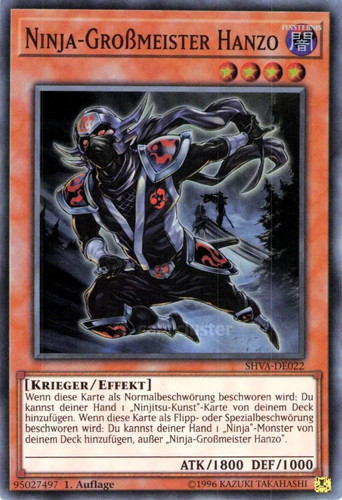 Maestro ninja - maestro,