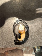 Amulette griffes de tigre du