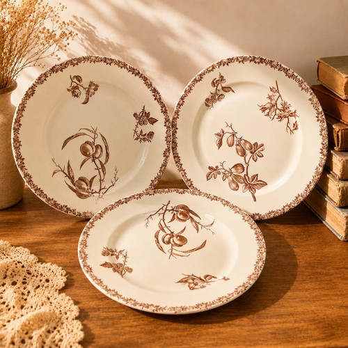 Lot assiettes anciennes - lot,