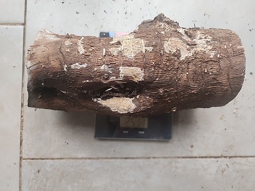 Bois olivier provence x22 - bois,