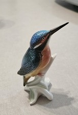 Oiseau martin pêcheur - pêcheur, en