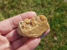 Ambre brut Charente-Maritime