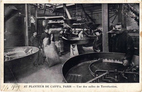 Judaica planteur caiffa - pc, au