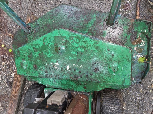Bobcat ransomes walk - bobcat,