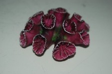 Détaillé Aquarium Corail