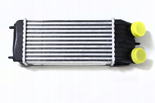 Intercooler original citroën - original,