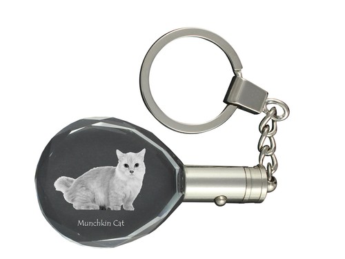 Chat munchkin porte clés - munchkin, en
