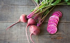 100 Graines de BETTERAVE ROUGE de CHIOGGIA (di) non traitées - Légume ancien 