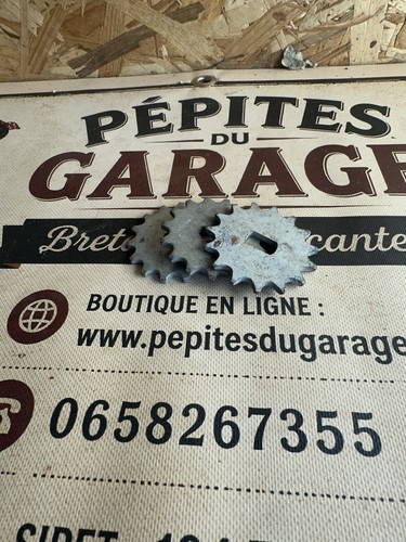 Nos pignon dents - dents, flandria