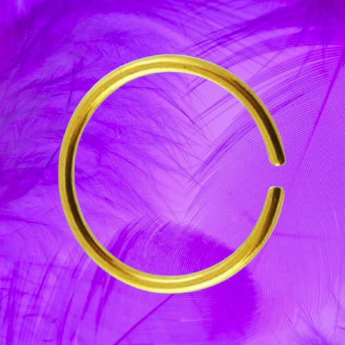 Boucle oreille spirale - i,